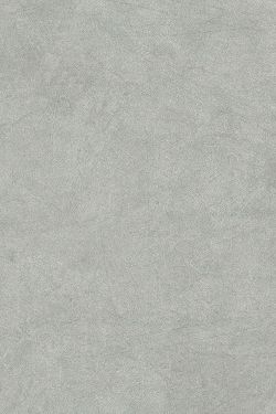 SPC - Concrete Light Tile