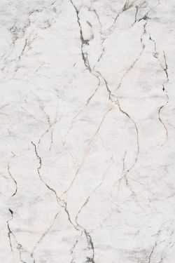 Gold Marble PVC Wall Panel