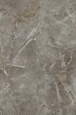 SPC - Beige Marble Skin