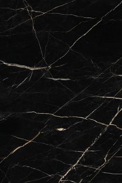 SPC - Black Calacatta Wall Tile