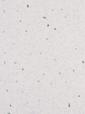 White Sparkle Meter Wide PVC Wall Panels